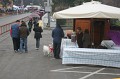Carnevale 2011 (14)
